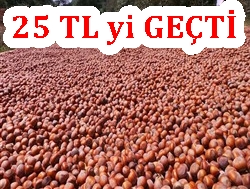 Fndk Fiyatlar Ykselite